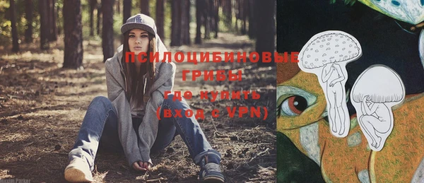 герыч Алексин